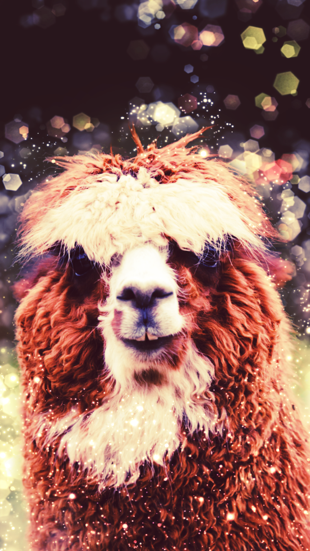 Funny Llama [1080x1920] + live wallpaper in comments | Scrolller